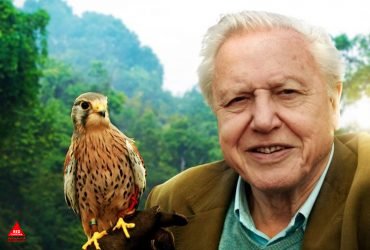 دیوید آتنبرو