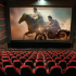 تماشاگر سینما