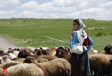 «دشت می‌خواند»
