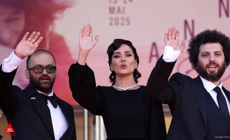«زن و بچه»