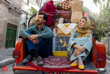 فیلم «سال گربه»