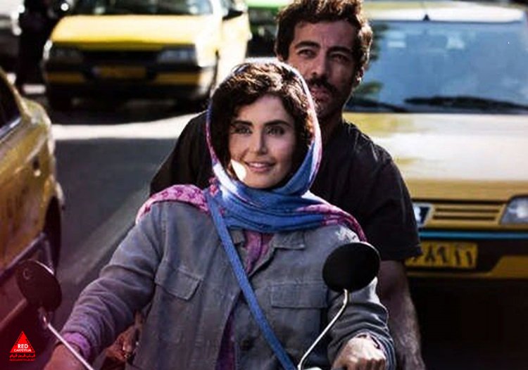 «گوزن‌های اتوبان»