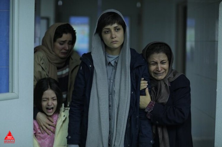 «زن و بچه»
