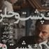 «لاک‌پشت و حلزون»