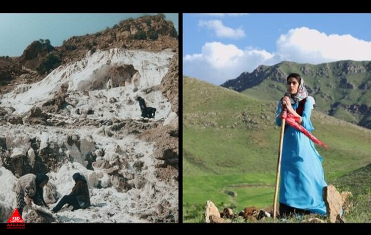 «دلا لسینیا»