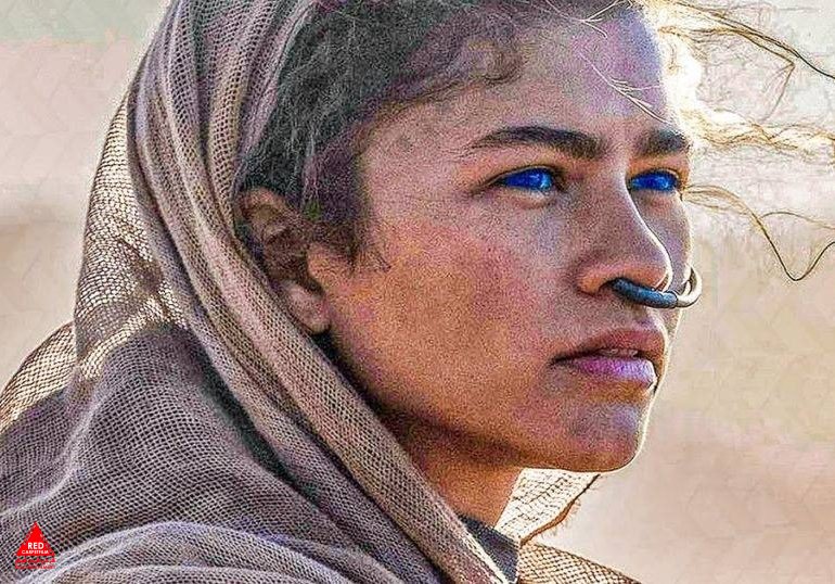تلماسه