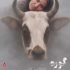 سحرگلدوست