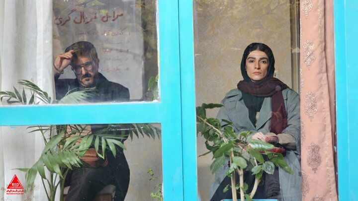 فریز